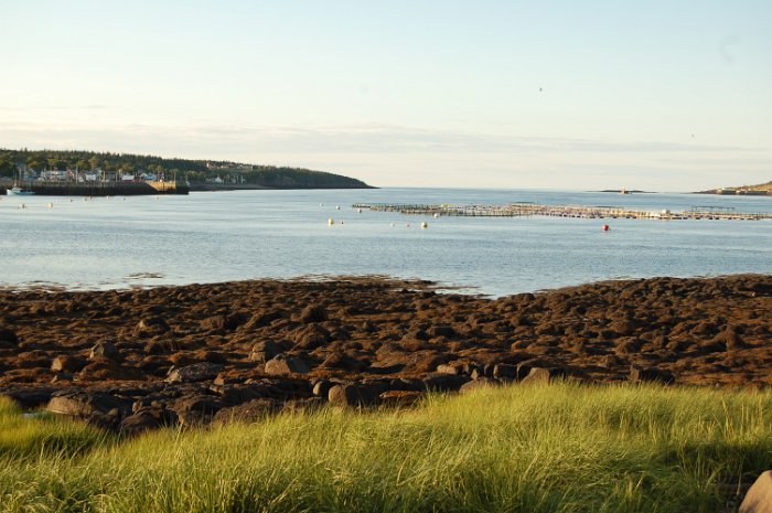 Immobilien Kanada Straende_98